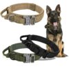 Collar Táctico Tipo Militar Ajustable para Perro